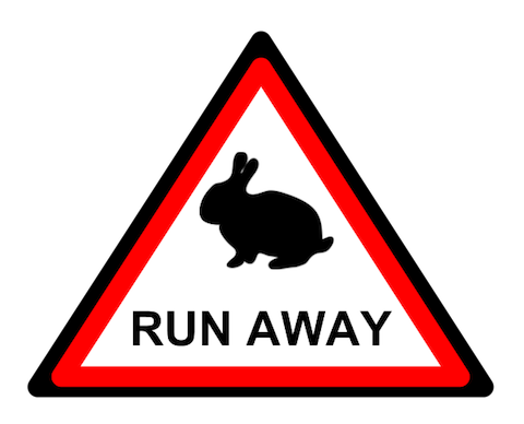 warning: attack rabbits ahead
